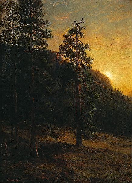 Albert Bierstadt California Redwoods china oil painting image